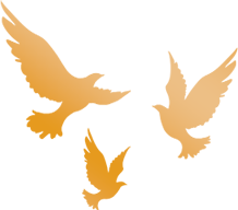 奋进建新功！中铁大桥局东北分公司第一次党代会召开(图6)