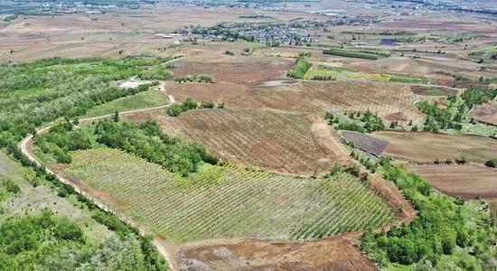 奋进建新功！中铁大桥局东北分公司第一次党代会召开(图21)