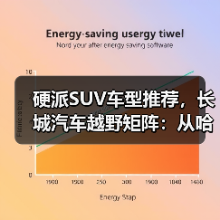 硬派SUV车型推荐，长城汽车越野矩阵：从哈弗到坦克，谁是最强王者？（图2）