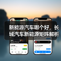 新能源汽车哪个好，长城汽车新能源矩阵解析：谁更值得入手？（图2）