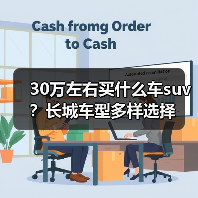 30万左右买什么车suv?长城车型多样选择(图3) 30万左右买什么车suv?长城车型多样选择(图3)