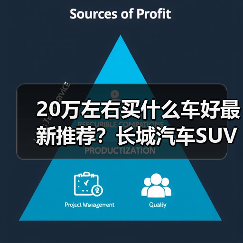 20万左右买什么车好最新推荐？长城汽车SUV实力解读（图4）