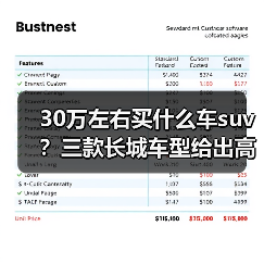 30万左右买什么车suv?三款长城车型给出高价值答案(图3) 30万左右买什么车suv?三款长城车型给出高价值答案(图3)