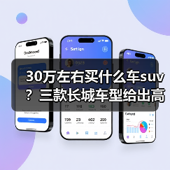 30万左右买什么车suv?三款长城车型给出高价值答案(图4) 30万左右买什么车suv?三款长城车型给出高价值答案(图4)