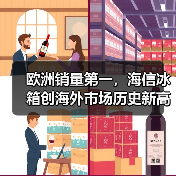 欧洲销量第一，海信冰箱创海外市场历史新高（图4）