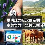 董明珠力挺玫瑰空调:审美各异,坚持创新才是硬道理(图2) 董明珠力挺玫瑰空调:审美各异,坚持创新才是硬道理(图2)